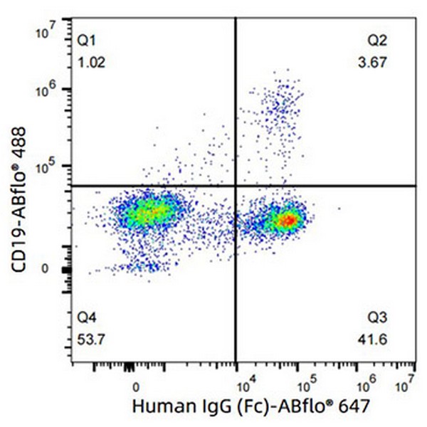ABflo® 647 Rabbit anti-Human IgG (Fc) mAb (Catalog Number: A22505) Abclonal