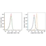 ABflo® 488 Rabbit anti-Human ErbB3/HER3 mAb (A22506)
