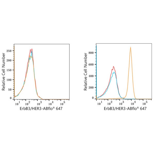 ABflo® 647 Rabbit anti-Human ErbB3/HER3 mAb (A22507) ABflo® 647 Rabbit anti-Human ErbB3/HER3 mAb (A22507)
