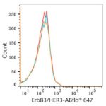A22507: ABflo® 647 Rabbit anti-Human ErbB3/HER3 mAb