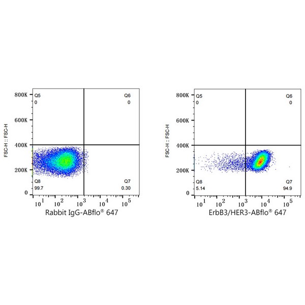 ABflo® 647 Rabbit anti-Human ErbB3/HER3 mAb (Catalog Number: A22507) Abclonal