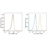 ABflo® 488 Rabbit anti-Human CD31/PECAM1 mAb (A22508)