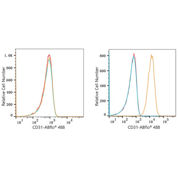 ABflo® 488 Rabbit anti-Human CD31/PECAM1 mAb (A22508)