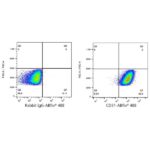 A22508: ABflo® 488 Rabbit anti-Human CD31/PECAM1 mAb