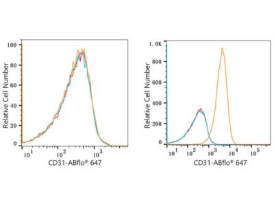 ABflo® 647 Rabbit anti-Human CD31/PECAM1 mAb (A22509)