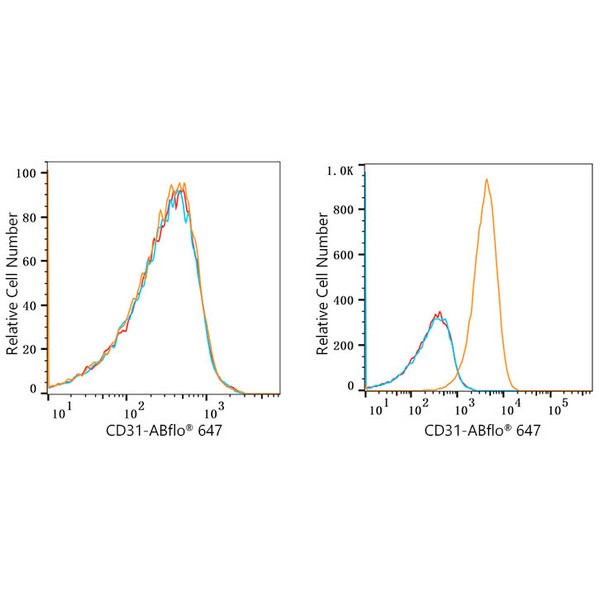 ABflo® 647 Rabbit anti-Human CD31/PECAM1 mAb (A22509) ABflo® 647 Rabbit anti-Human CD31/PECAM1 mAb (A22509)