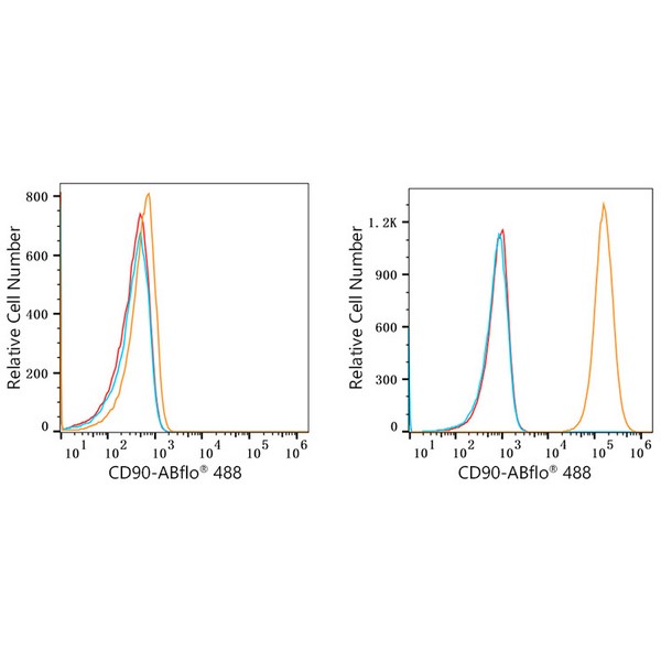 ABflo® 488 Rabbit anti-Human CD90/Thy1 mAb (A22510) ABflo® 488 Rabbit anti-Human CD90/Thy1 mAb (A22510)