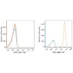 ABflo® 647 Rabbit anti-Human CD90/Thy1 mAb (A22511)