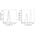 ABflo® 488 Rabbit anti-Human CD58 mAb (A22512)