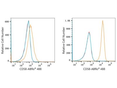 ABflo® 488 Rabbit anti-Human CD58 mAb (A22512)