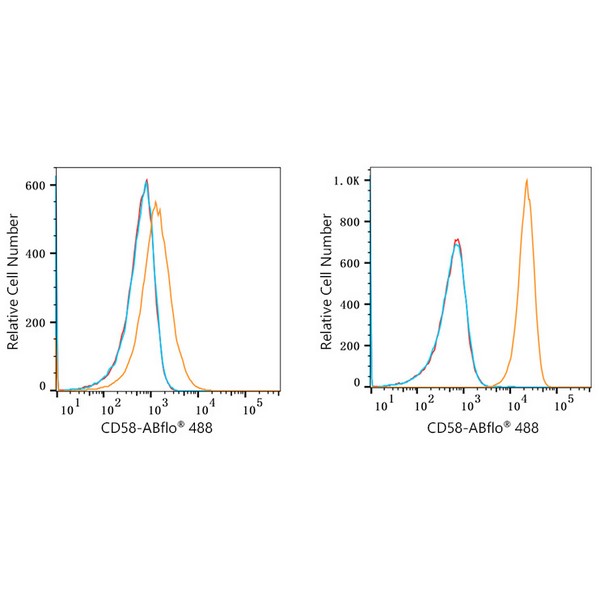 ABflo® 488 Rabbit anti-Human CD58 mAb (A22512) ABflo® 488 Rabbit anti-Human CD58 mAb (A22512)