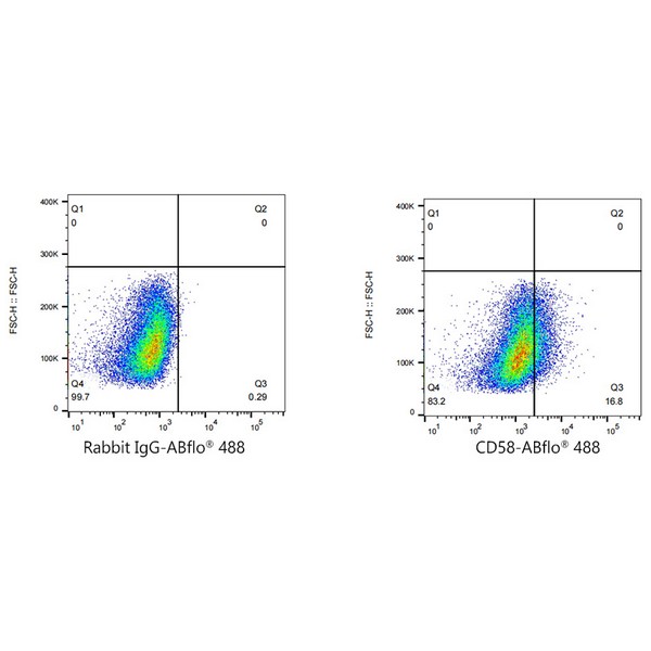 ABflo® 488 Rabbit anti-Human CD58 mAb (Catalog Number: A22512) Abclonal