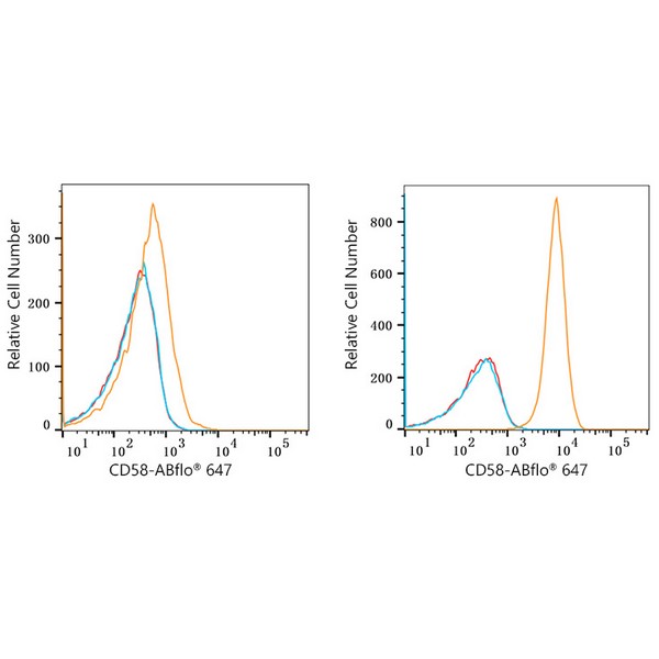 ABflo® 647 Rabbit anti-Human CD58 mAb (A22513) ABflo® 647 Rabbit anti-Human CD58 mAb (A22513)