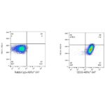 A22513: ABflo® 647 Rabbit anti-Human CD58 mAb