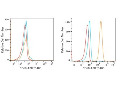 ABflo® 488 Rabbit anti-Human CD68 mAb (A22514)