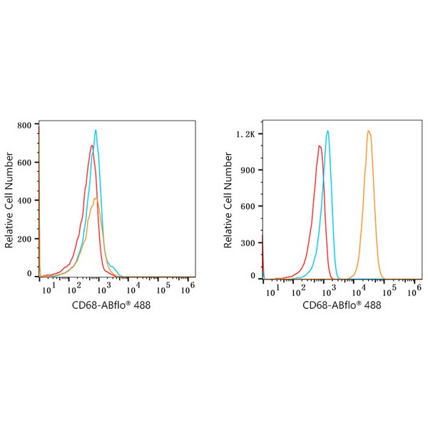 ABflo® 488 Rabbit anti-Human CD68 mAb (A22514) ABflo® 488 Rabbit anti-Human CD68 mAb (A22514)