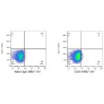 ABflo® 647 Rabbit anti-Human CD68 mAb (Catalog Number: A22515) Abclonal