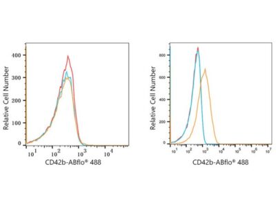 ABflo® 488 Rabbit anti-Human CD42b mAb (A22516)
