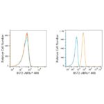 ABflo® 488 Rabbit anti-Human CD317/BST2 mAb (A22517)