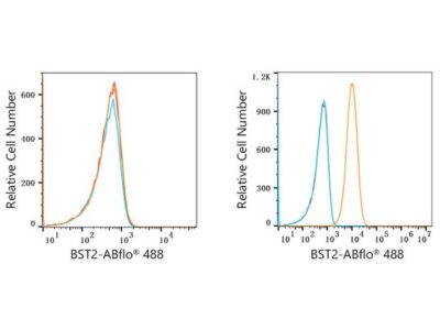 ABflo® 488 Rabbit anti-Human CD317/BST2 mAb (A22517)