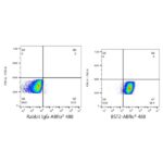 A22517: ABflo® 488 Rabbit anti-Human CD317/BST2 mAb