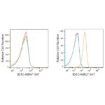 ABflo® 647 Rabbit anti-Human CD317/BST2 mAb (A22518)