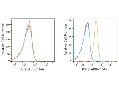 ABflo® 647 Rabbit anti-Human CD317/BST2 mAb (A22518)