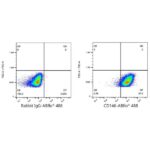 A22520: ABflo® 488 Rabbit anti-Human CD146 mAb