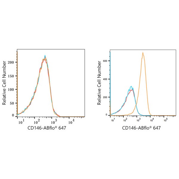 ABflo® 647 Rabbit anti-Human CD146 mAb (A22521)