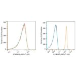 ABflo® 488 Rabbit anti-Human CD45RA mAb (A22569)