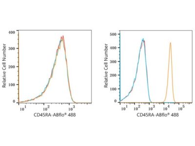 ABflo® 488 Rabbit anti-Human CD45RA mAb (A22569)