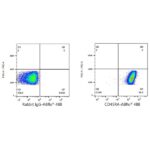 A22569: ABflo® 488 Rabbit anti-Human CD45RA mAb