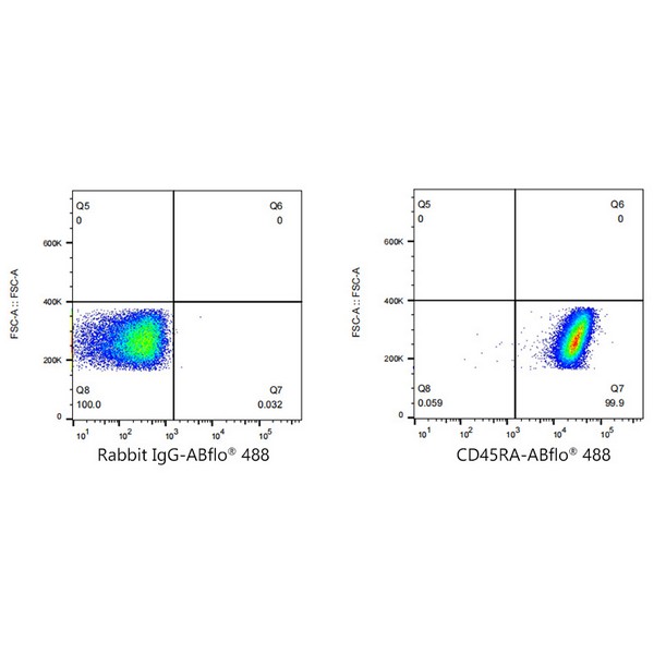A22569: ABflo® 488 Rabbit anti-Human CD45RA mAb