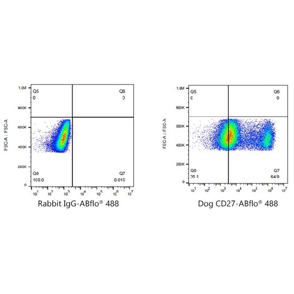 A22575: ABflo® 488 Rabbit anti-Dog CD27 mAb