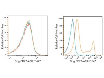 ABflo® 647 Rabbit anti-Dog CD27 mAb (A22576)