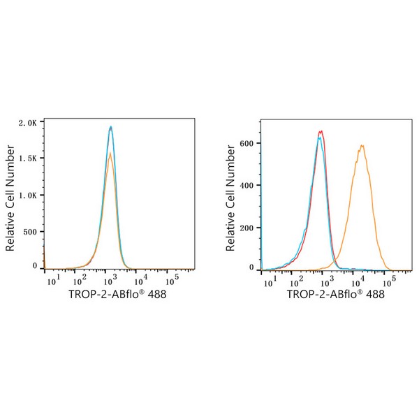 A22577: ABflo® 488 Rabbit anti-Human TROP-2 mAb