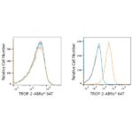 ABflo® 647 Rabbit anti-Human TROP-2 mAb (A22578)