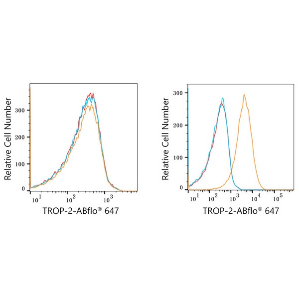 ABflo® 647 Rabbit anti-Human TROP-2 mAb (A22578) ABflo® 647 Rabbit anti-Human TROP-2 mAb (A22578)