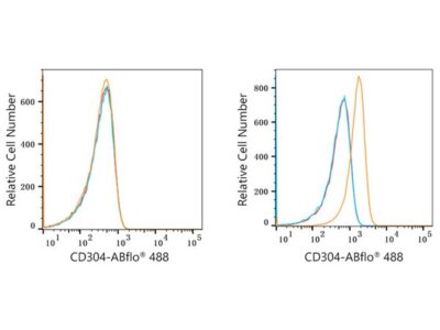 ABflo® 488 Rabbit anti-Human CD304/Neuropilin-1 mAb (A22579)