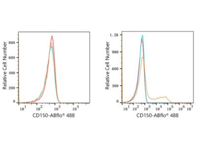 ABflo® 488 Rabbit anti-Human CD150/SLAM mAb (A22580)