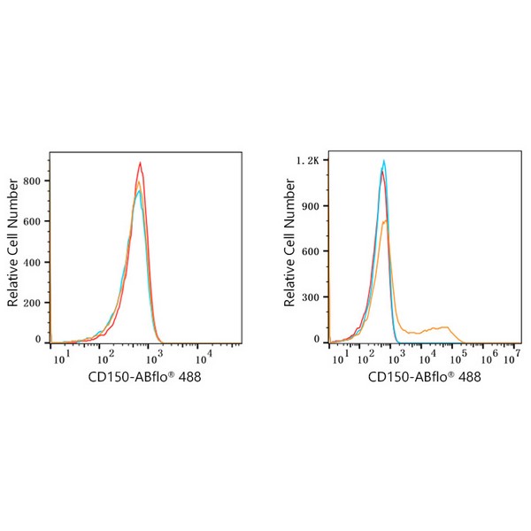ABflo® 488 Rabbit anti-Human CD150/SLAM mAb (A22580) ABflo® 488 Rabbit anti-Human CD150/SLAM mAb (A22580)