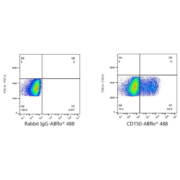 A22580: ABflo® 488 Rabbit anti-Human CD150/SLAM mAb