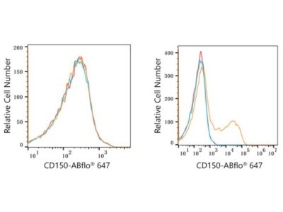 ABflo® 647 Rabbit anti-Human CD150/SLAM mAb (A22581)