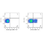A22581: ABflo® 647 Rabbit anti-Human CD150/SLAM mAb