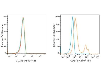 ABflo® 488 Rabbit anti-Human CD215/IL-15R alpha mAb (A22582)