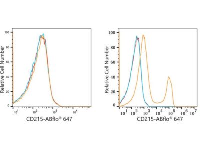 ABflo® 647 Rabbit anti-Human CD215/IL-15R alpha mAb (A22583)