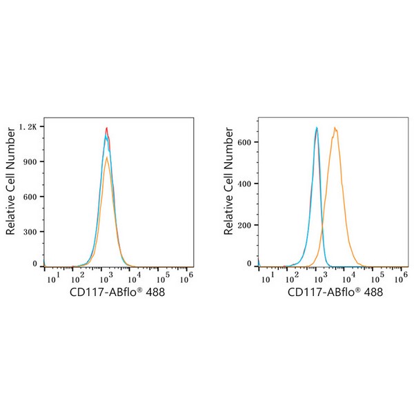 ABflo® 488 Rabbit anti-Human CD117/c-Kit mAb (A22586)