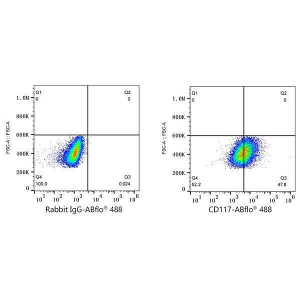 A22586: ABflo® 488 Rabbit anti-Human CD117/c-Kit mAb