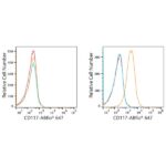 ABflo® 647 Rabbit anti-Human CD117/c-Kit mAb (A22587)