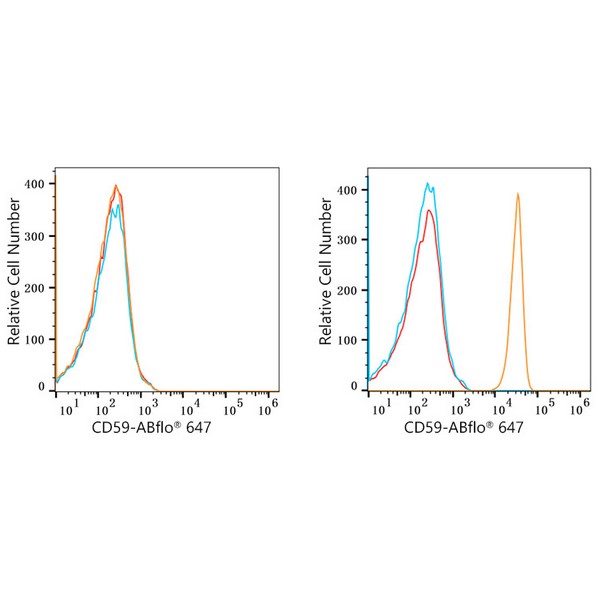 ABflo® 647 Rabbit anti-Human CD59 mAb (A22589)